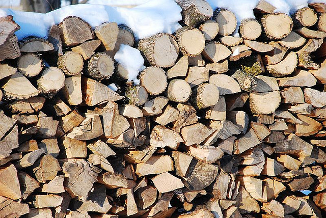 Never mind the cutting – just watching one’s woodpile grow gives you a nice warm feeling. (Photo by Flickr user Thunder Circus; used under Creative Commons license)