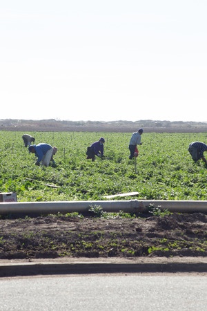 A recent survey found that 28 percent of Michigan’s 56,000 farms are owned by non-U.S. citizens, mostly from Mexico and Central America. (courtesy photo)