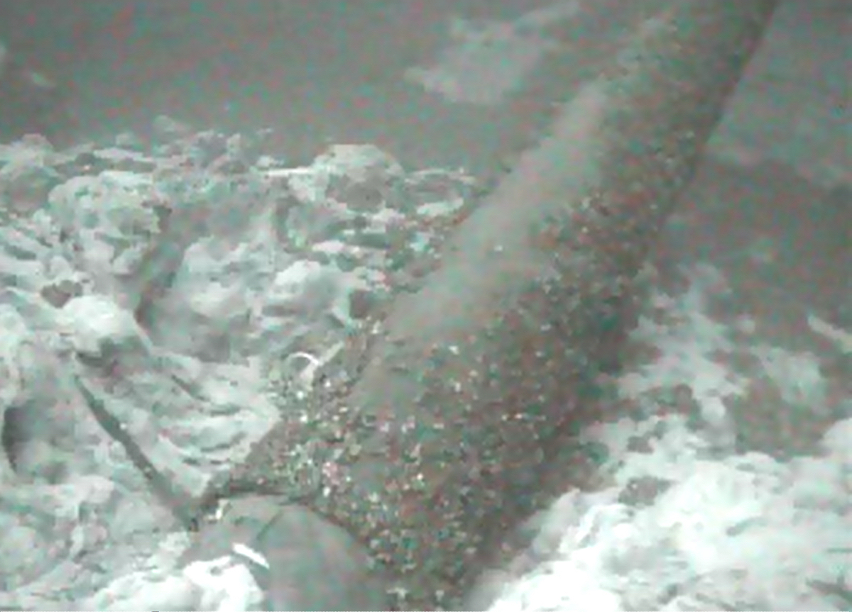 A 2013 diving expedition funded by the National Wildlife Federation found the straits pipeline encrusted with zebra mussels. (Photo courtesy National Wildlife Federation)