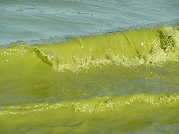 Rolling in green on Lake Erie (Photo credit: National Oceanic and Atmospheric Administration)