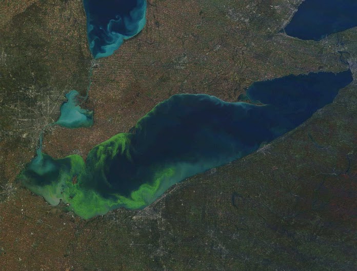 At its peak, the 2011 algae bloom on Lake Erie covered a fifth of the lake's surface. (Photo credit: National Oceanic and Atmospheric Administration.) 