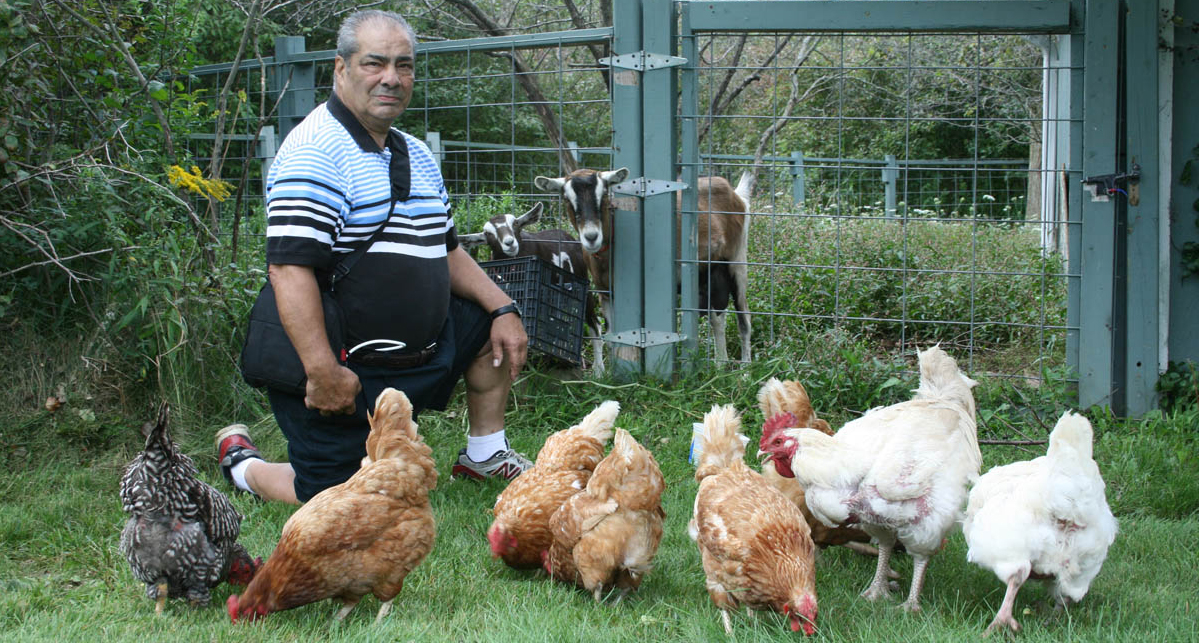 Next to his home in Kentwood, Geno Lombardo tends to his goats and chickens. (Photo by Ted Roelofs) 