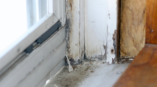 Michigan children are often exposed to lead found in paint in older homes. While there are numerous programs to help families abate the lead threat in their homes, the problem remains widespread. 