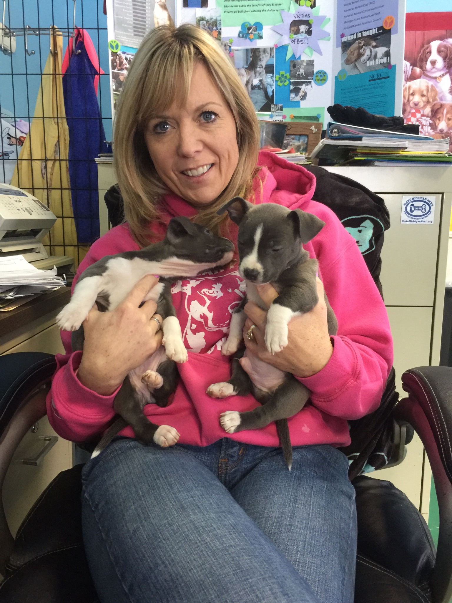 Terry Hodskins, founder of Michigan Pitbull Education Project, with two recently rescued pit bull-Chihuahua mix puppies (Bridge photo by Chastity Pratt Dawsey) 