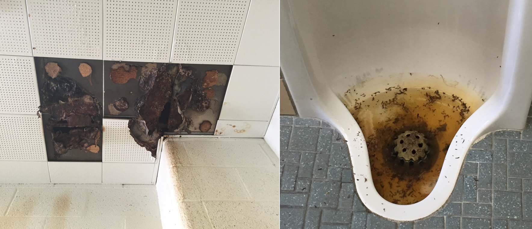 Teachers have complained about deteriorating conditions in Detroit public schools, and submitted these images, which they say were taken this week at Osborn College Preparatory Academy – a water-damaged, falling ceiling and a non-functioning urinal crawling with bugs. (Courtesy photos)