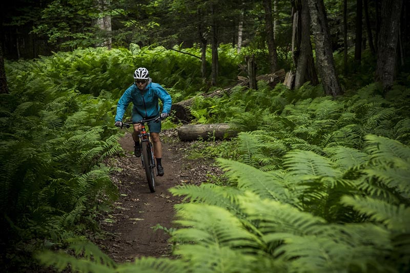 Bikers can ride a hundred miles of single-track mountain trail in and around Marquette. (Photo by Aaron Peterson, courtesy Travel Marquette) 