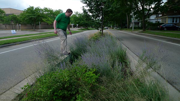 Grand Rapids’ Plainfield Avenue has median strips you step down into from the road bed. Rain from surrounding pavement flows into them and is held by the soil and water-loving plants and trees until it can be absorbed or evaporate. (Bridge photo by Nancy Derringer)
