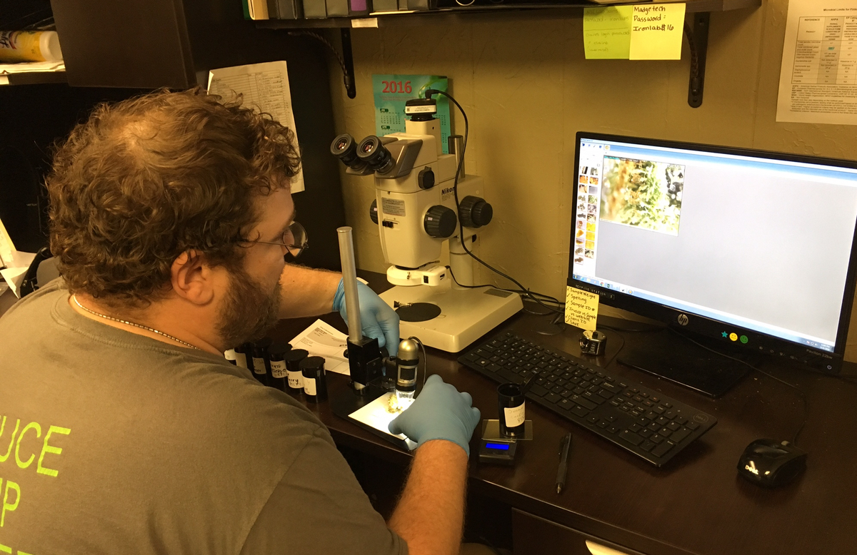 Jon Markey, Iron Laboratories’ quality control manager, examines a sample under a microscope. (Bridge photo by Lindsay VanHulle)