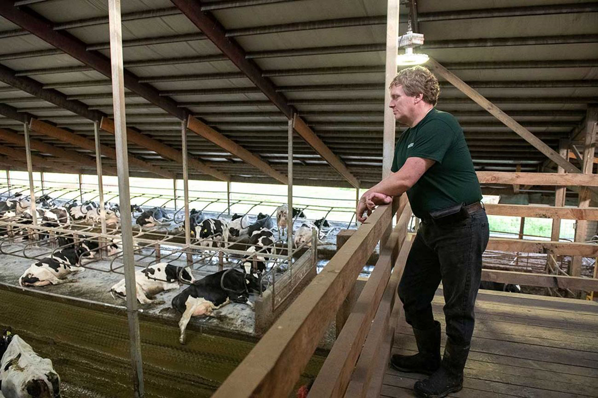 Do not eat advisory issued for Michigan dairy farm's illegal sale