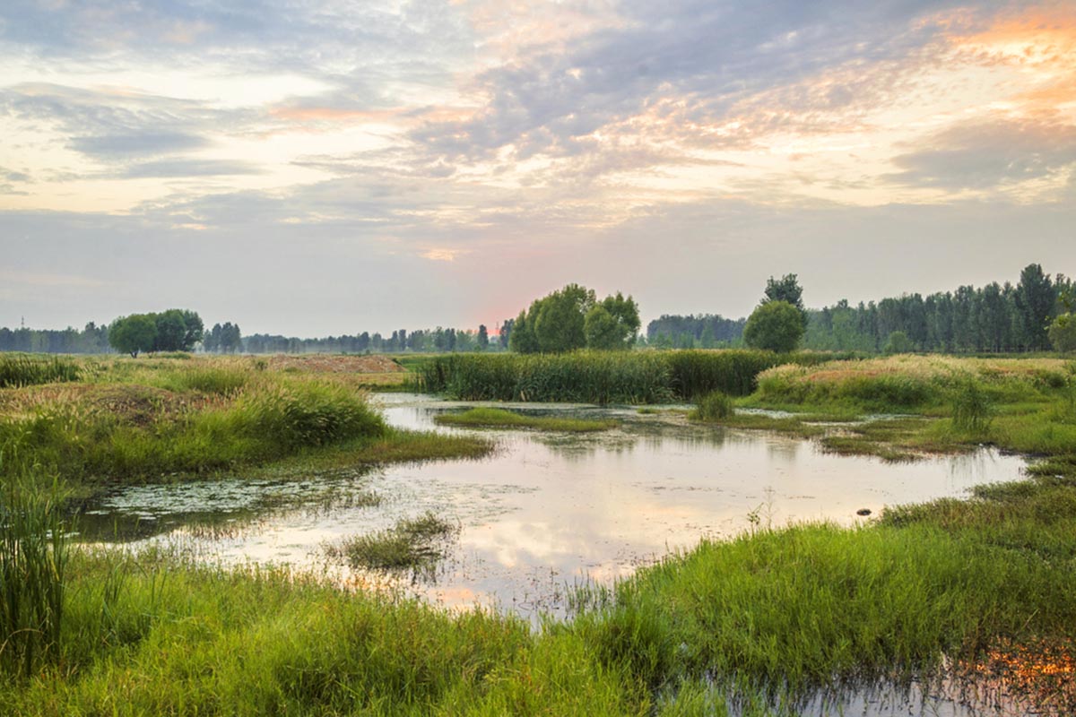 As He Exits Michigan Lawmaker Wants To Gut Wetland Protection Boost 