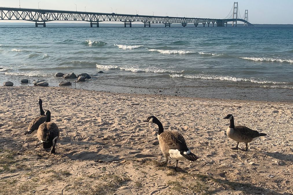 Canada goose outlet miami beach