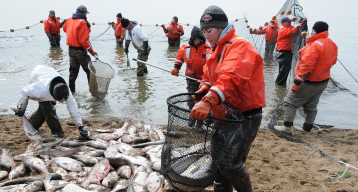 Michigan Carp Fishing Blog: Photo Filters to Improve Carp Fishing