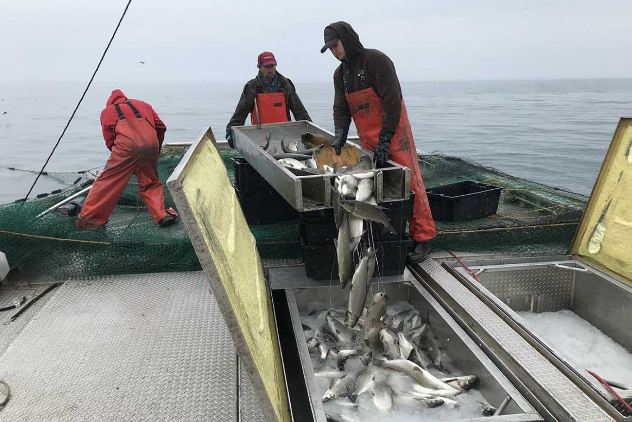 What Happened to Chicago's Smelt Fishermen?