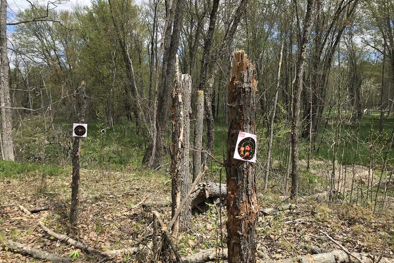  Pee-Litical Targets, Motion Activated Toilet Target