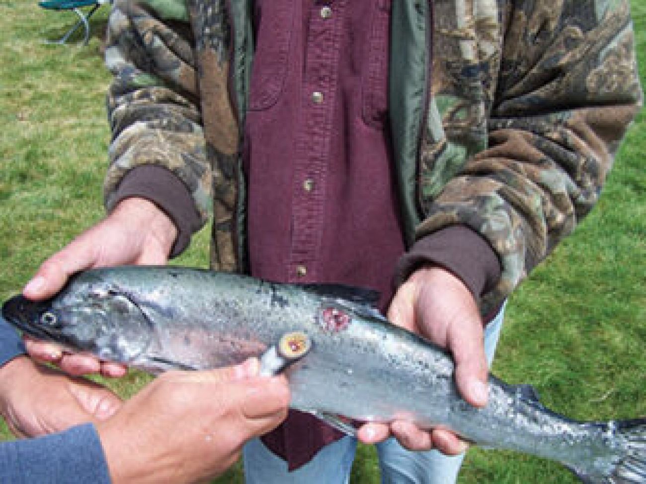 Great Lakes Fishery Commission - The Fishery