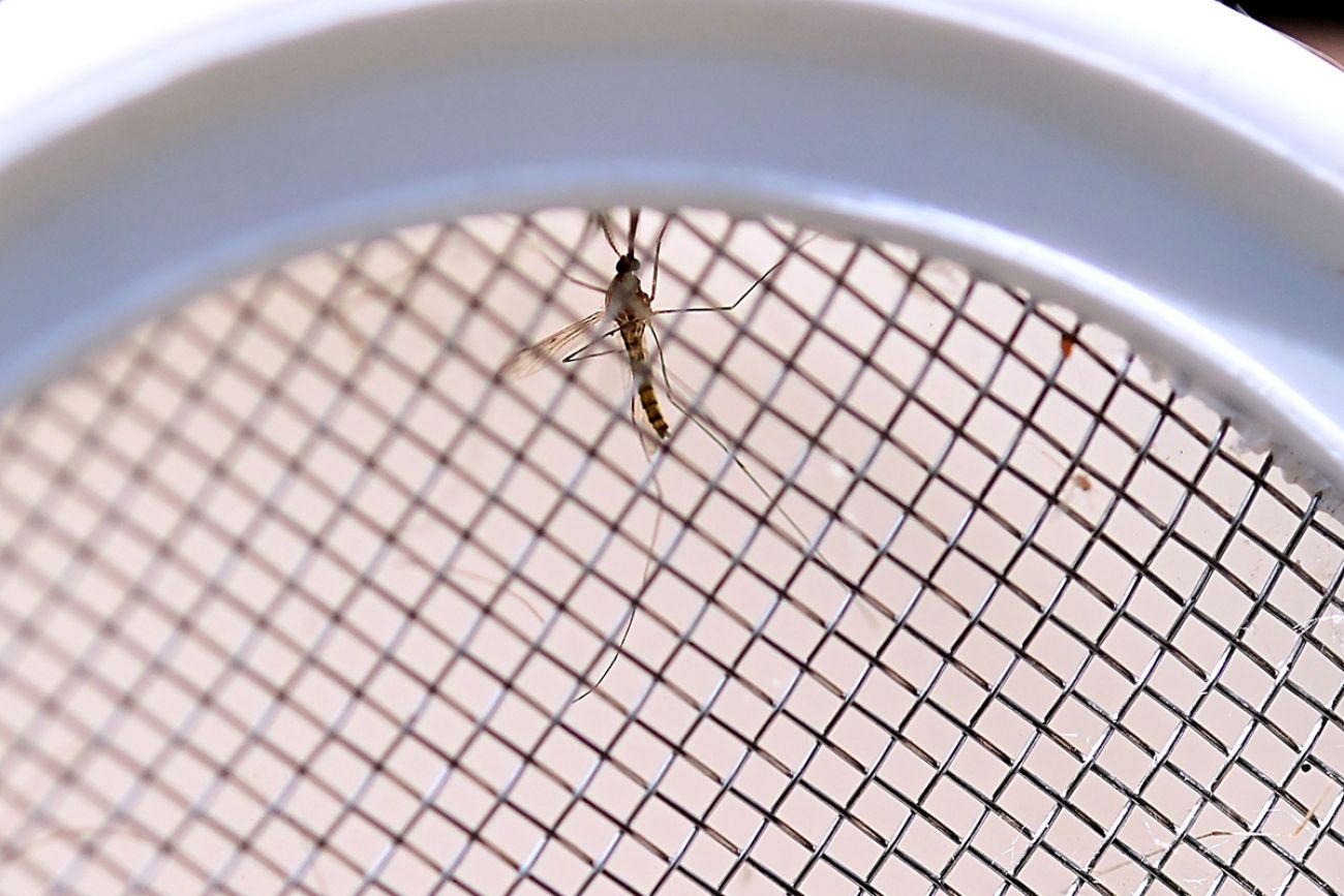 Building a Large Water Dispenser - Your Insect Breeding Learning Centre