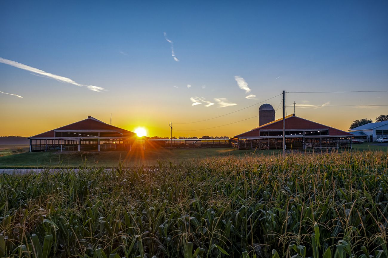 Why wastewater treatment plants are investing in farmers