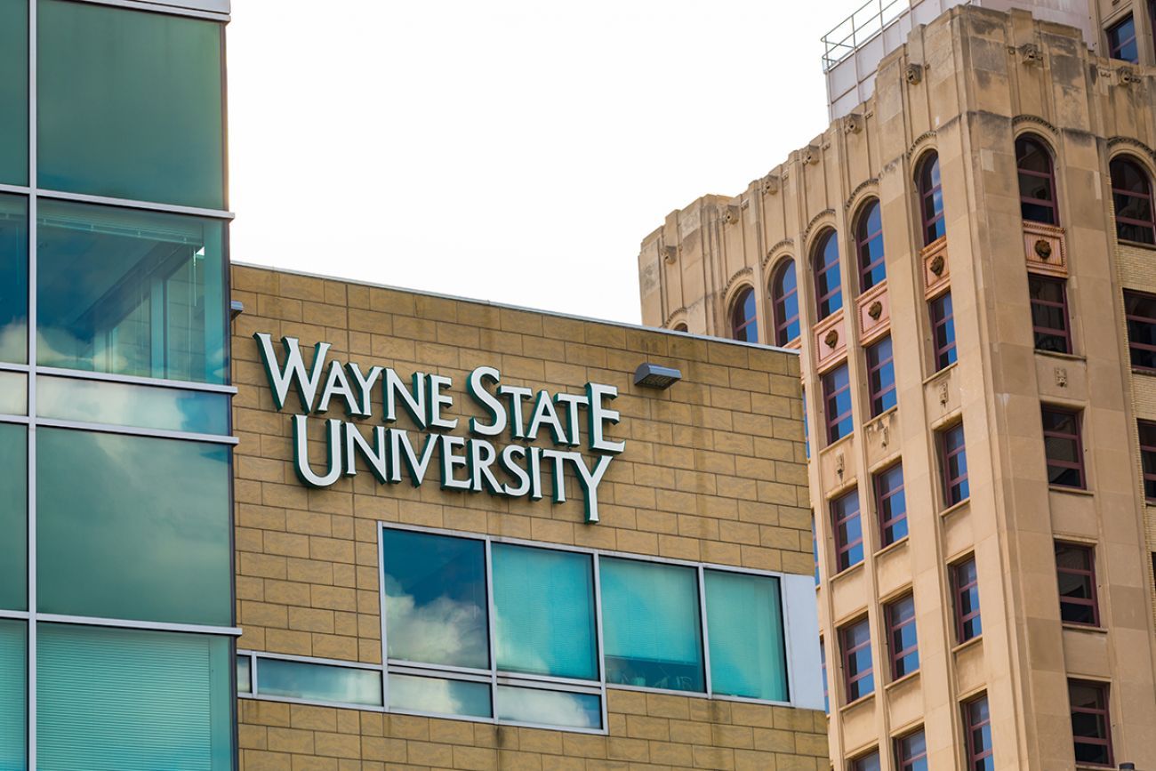 wayne state university