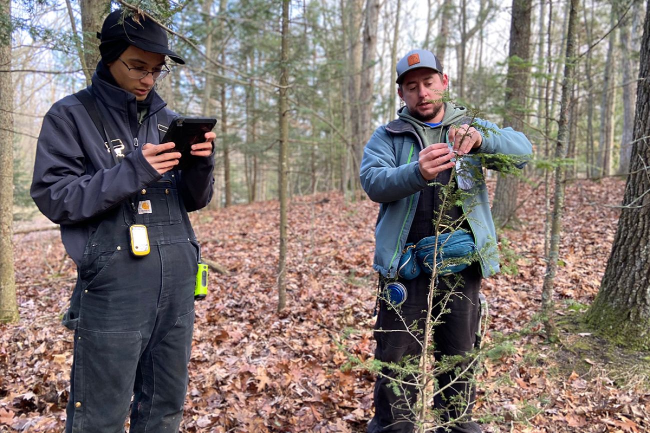 two men in the forest