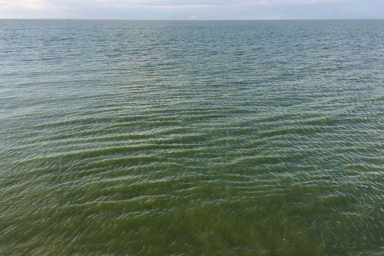 Report: MI and OH must spend hundreds of millions more annually to curb  toxic blooms in Lake Erie