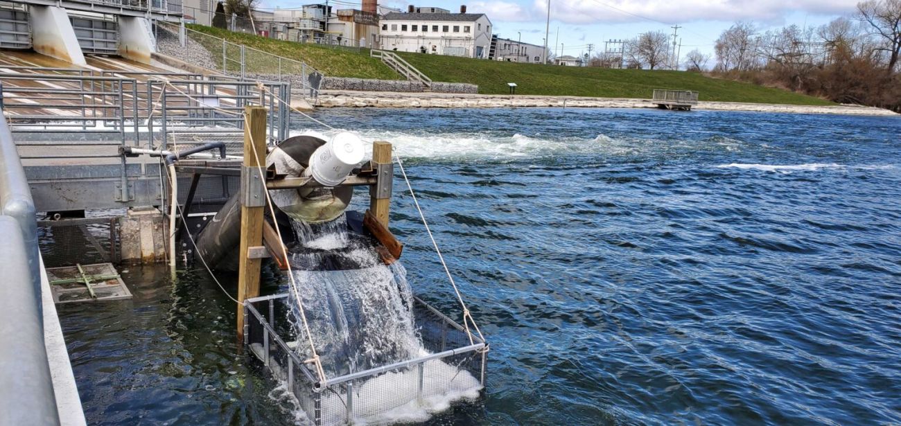 sunny day at Cheboygan Dam