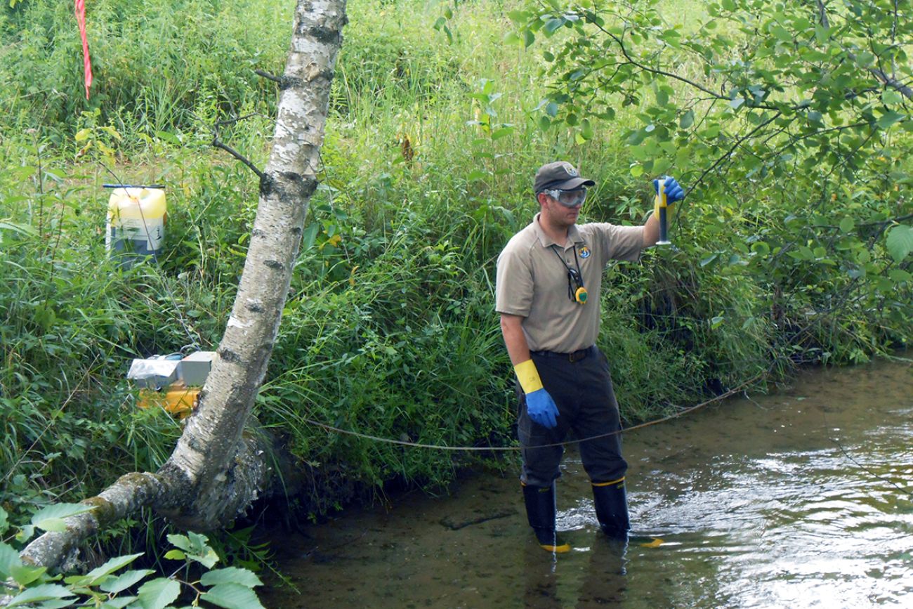 More fallout from Midland dam failures: blood-sucking parasites in