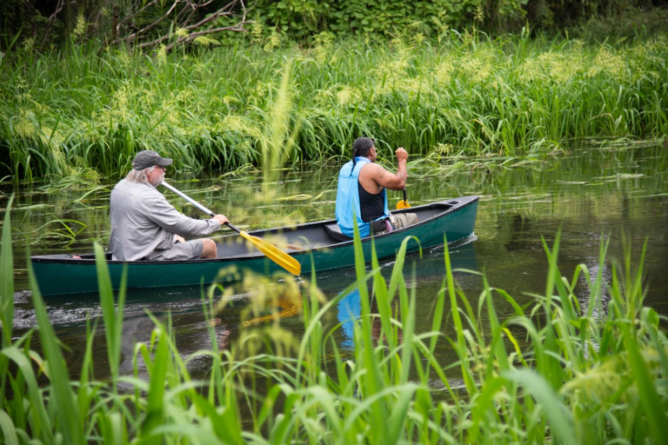 Kayakers in river