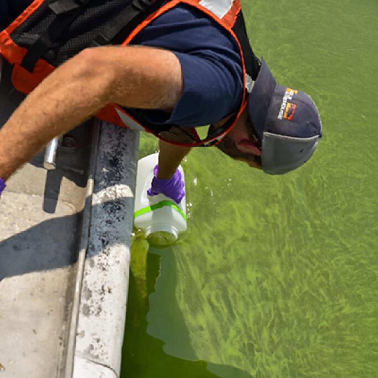 Watch for Harmful Algal Blooms in MI Recreational Waters