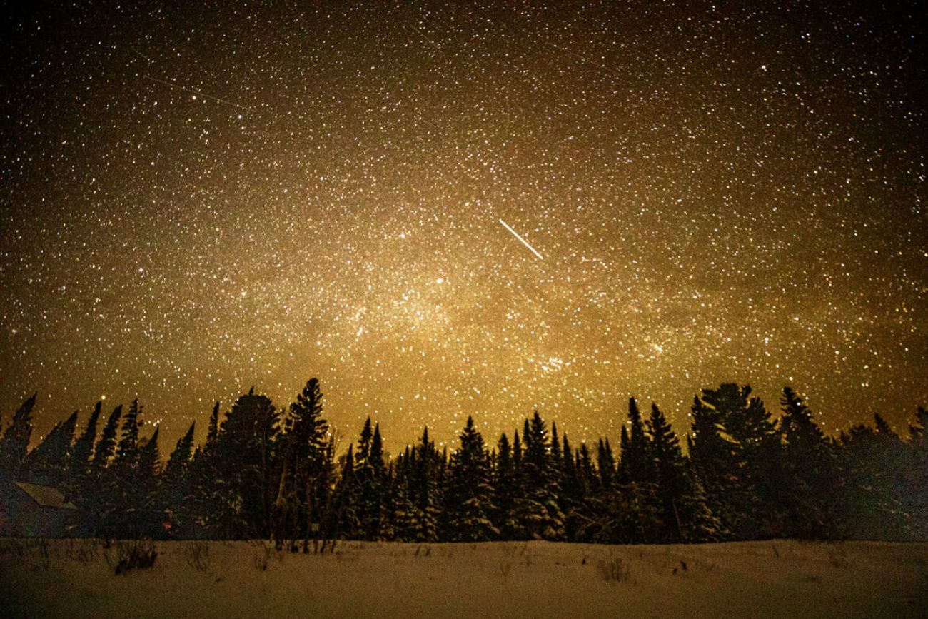 Dark Skies & Reducing Light Pollution - Forest Preserves of Cook