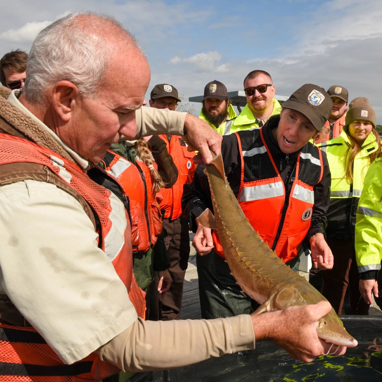 Sturgeon in the Red River Basin show continued signs of natural reproduction