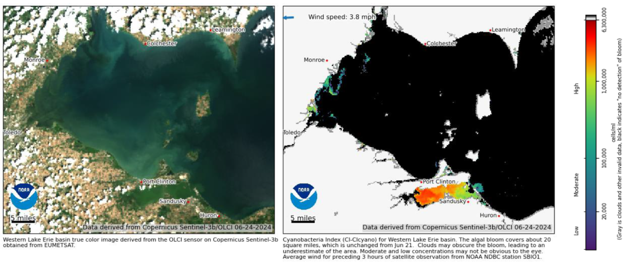 Two satellites of algal blooms in Lake Erie