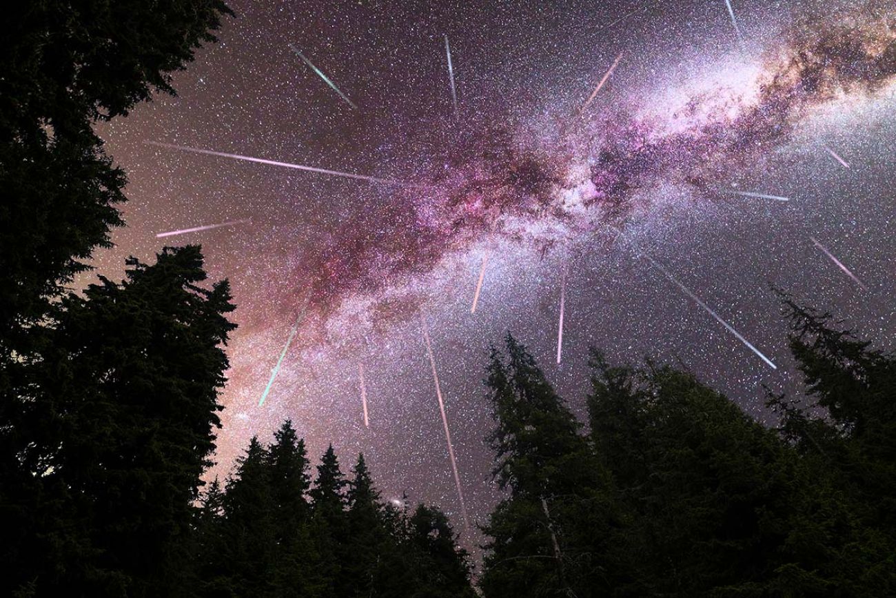 A view of a Meteor Shower and the purple Milky Way with pine trees forest silhouette in the foreground.