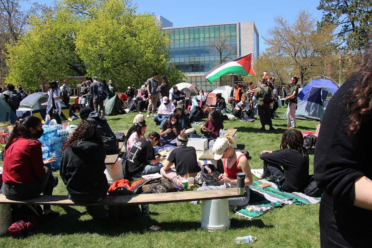 Crowd of Pro-Palestine protesters at Michigan State University. You can see the Palestine flag in the background