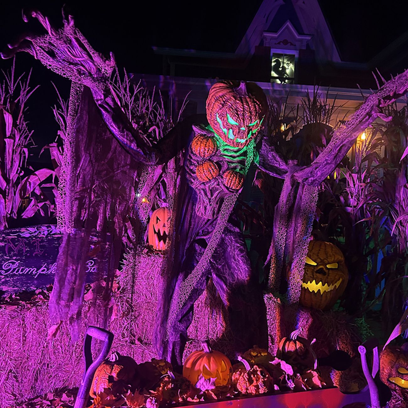 Pumpkin man decoration with purple lights