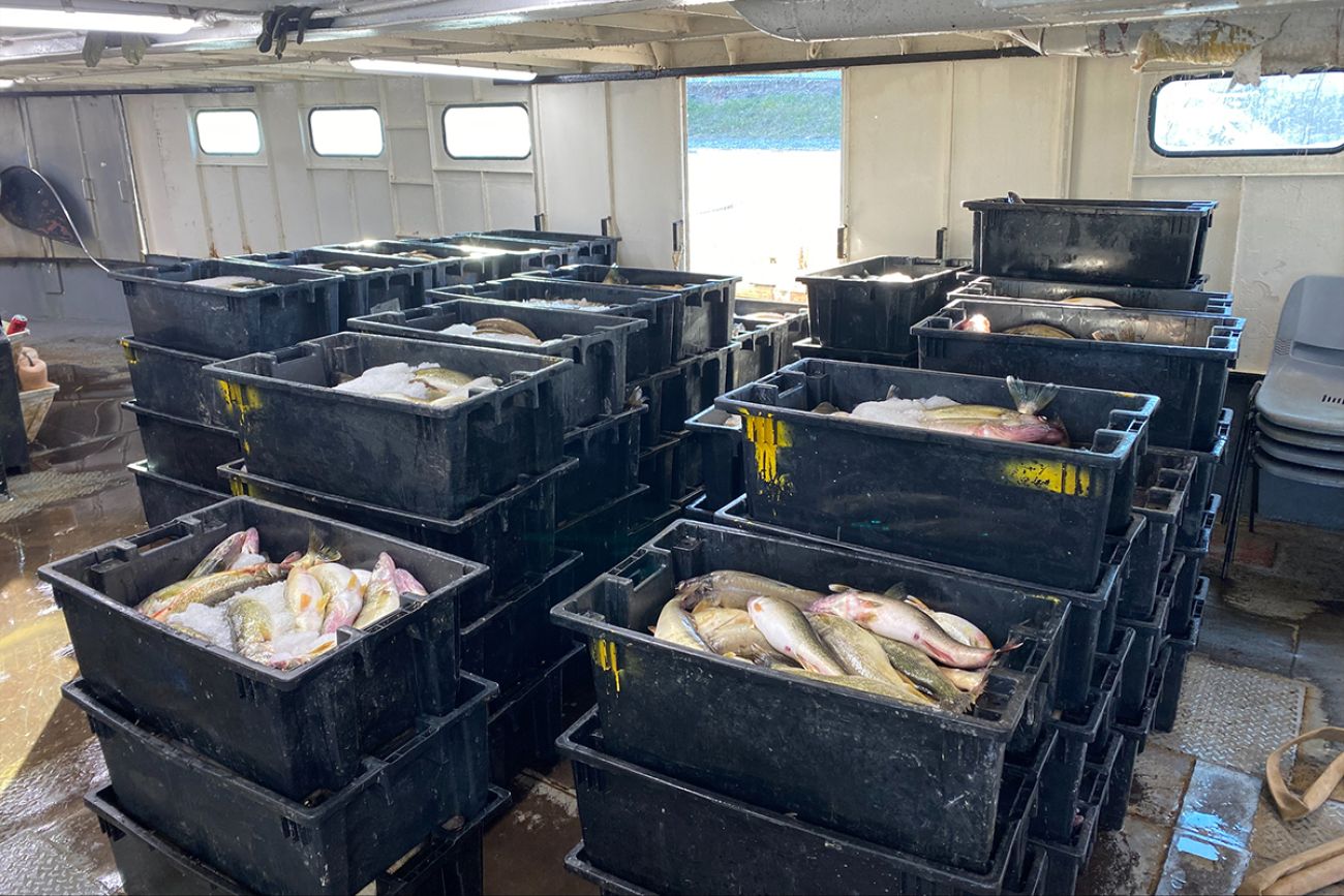 Fishes in stacked black boxes 