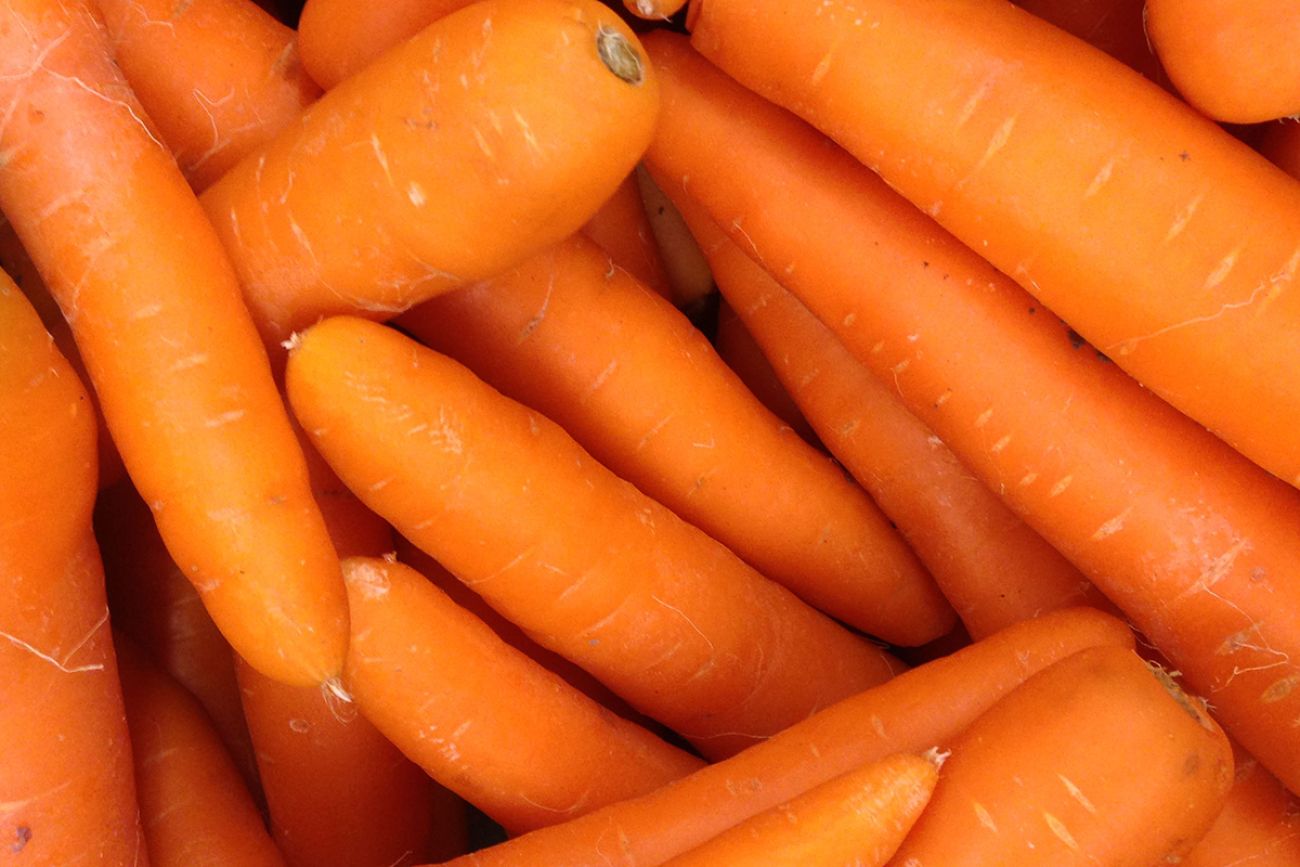 A pile of raw carrots