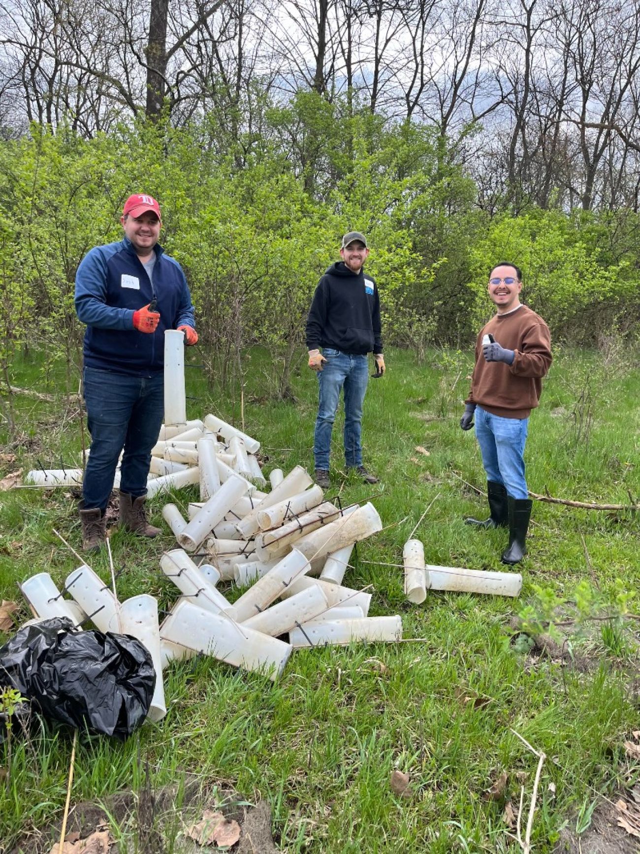 Volunteers collect tubes from trees