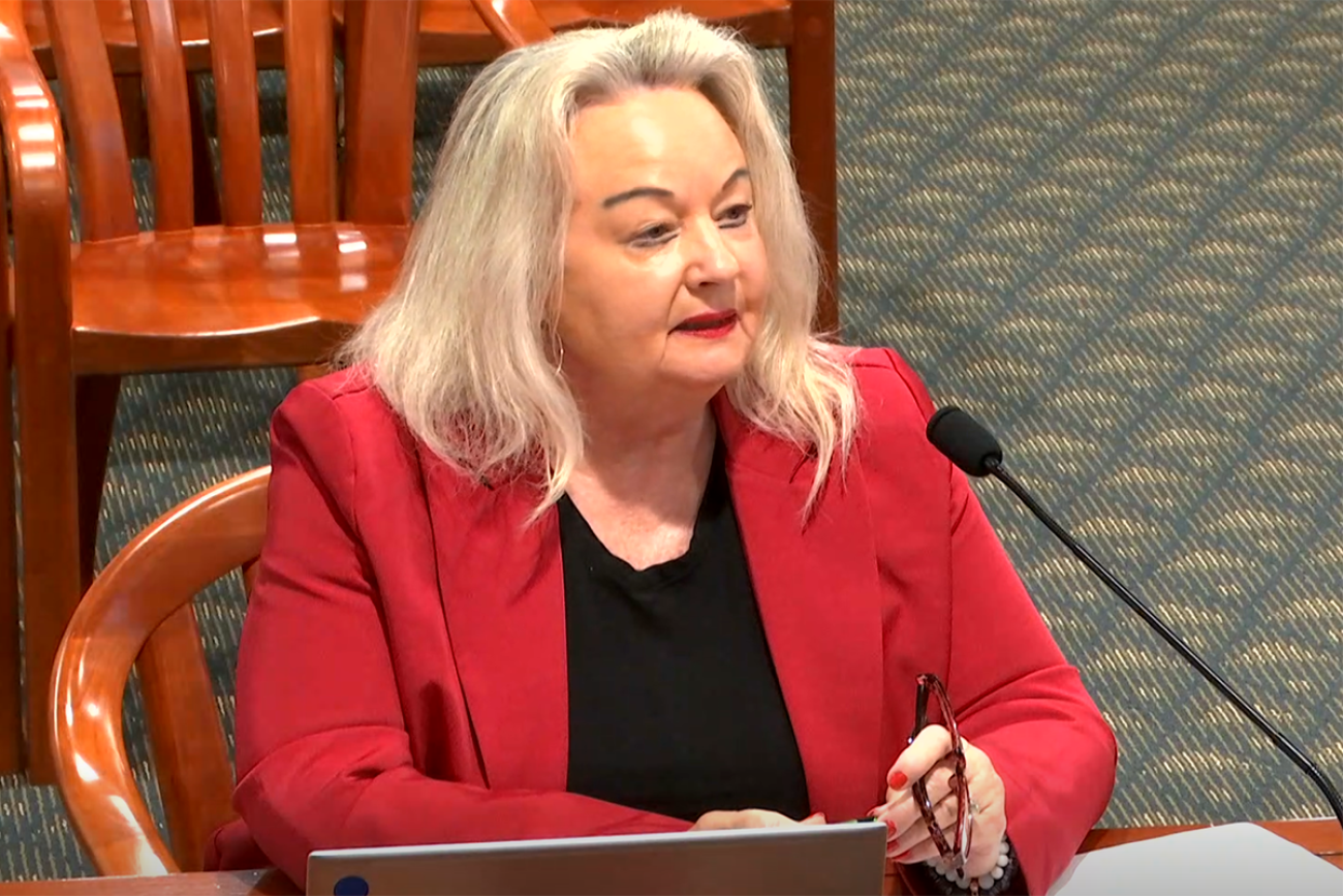 Michigan Rep. Kathy Schmaltz, R-Jackson, speaking into a microphone.