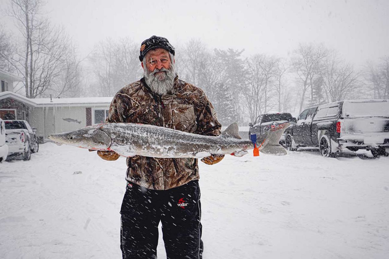 Long odds, short season: Michigan sturgeon a zany conservation success