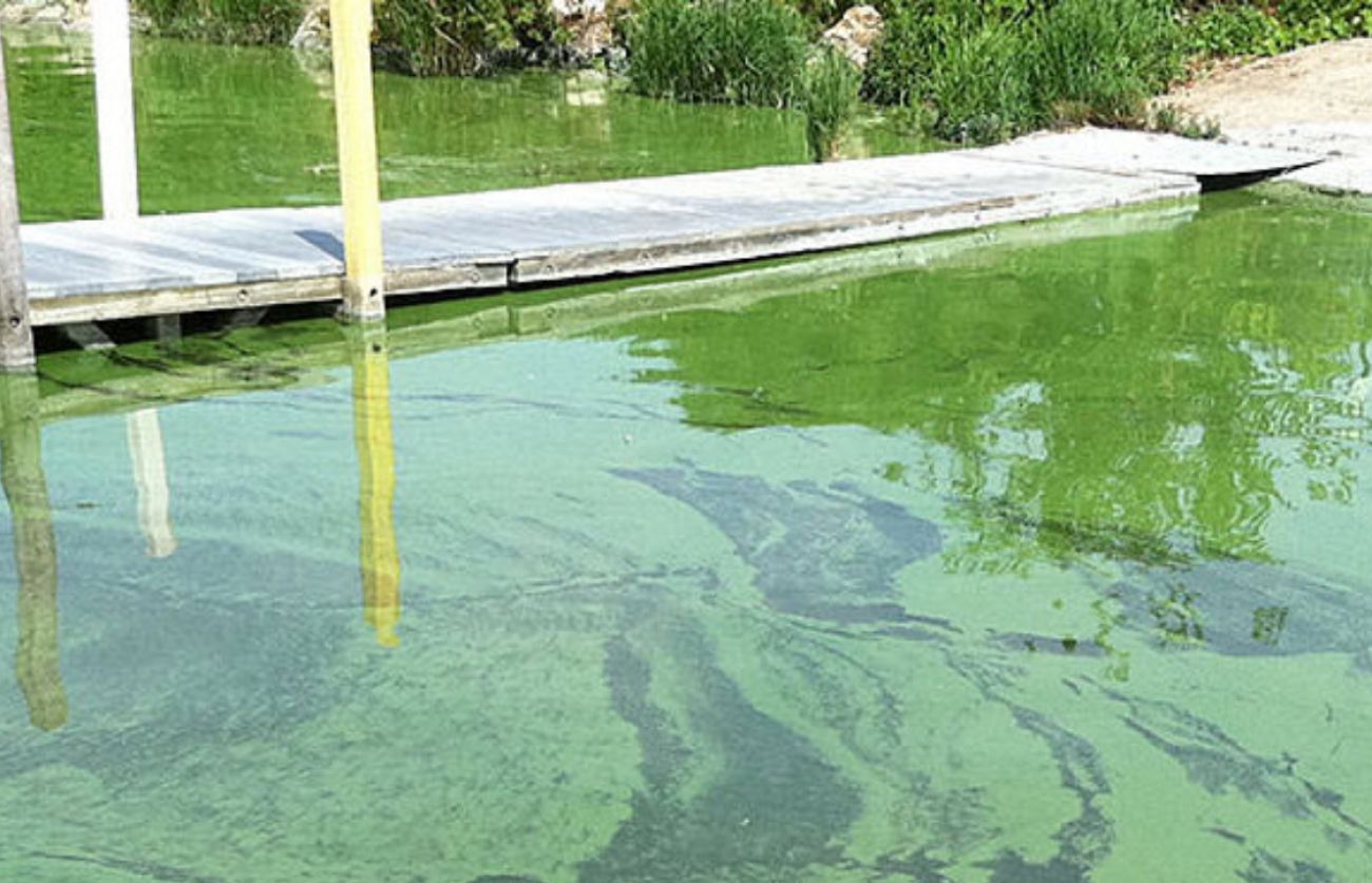 Algae Blooms Threaten Lake Erie - The New York Times