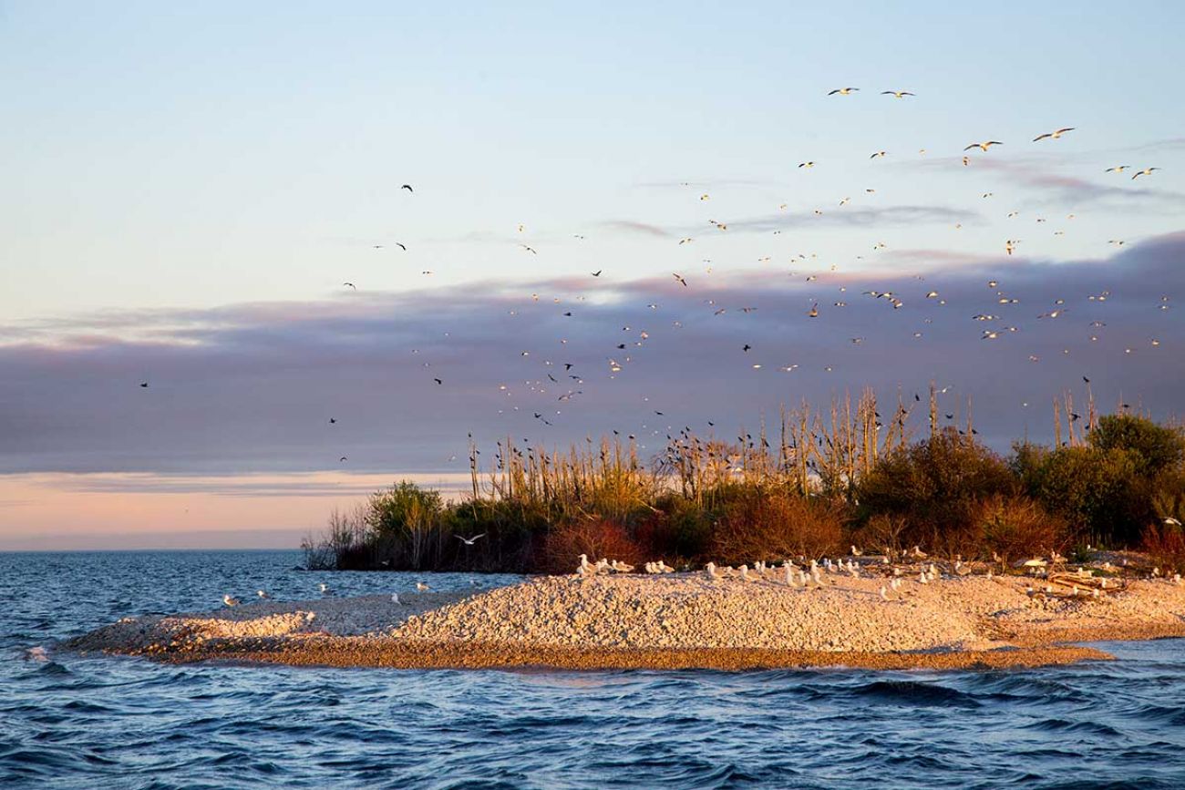 Do Something New: Smelt Netting - Never A Goose Chase