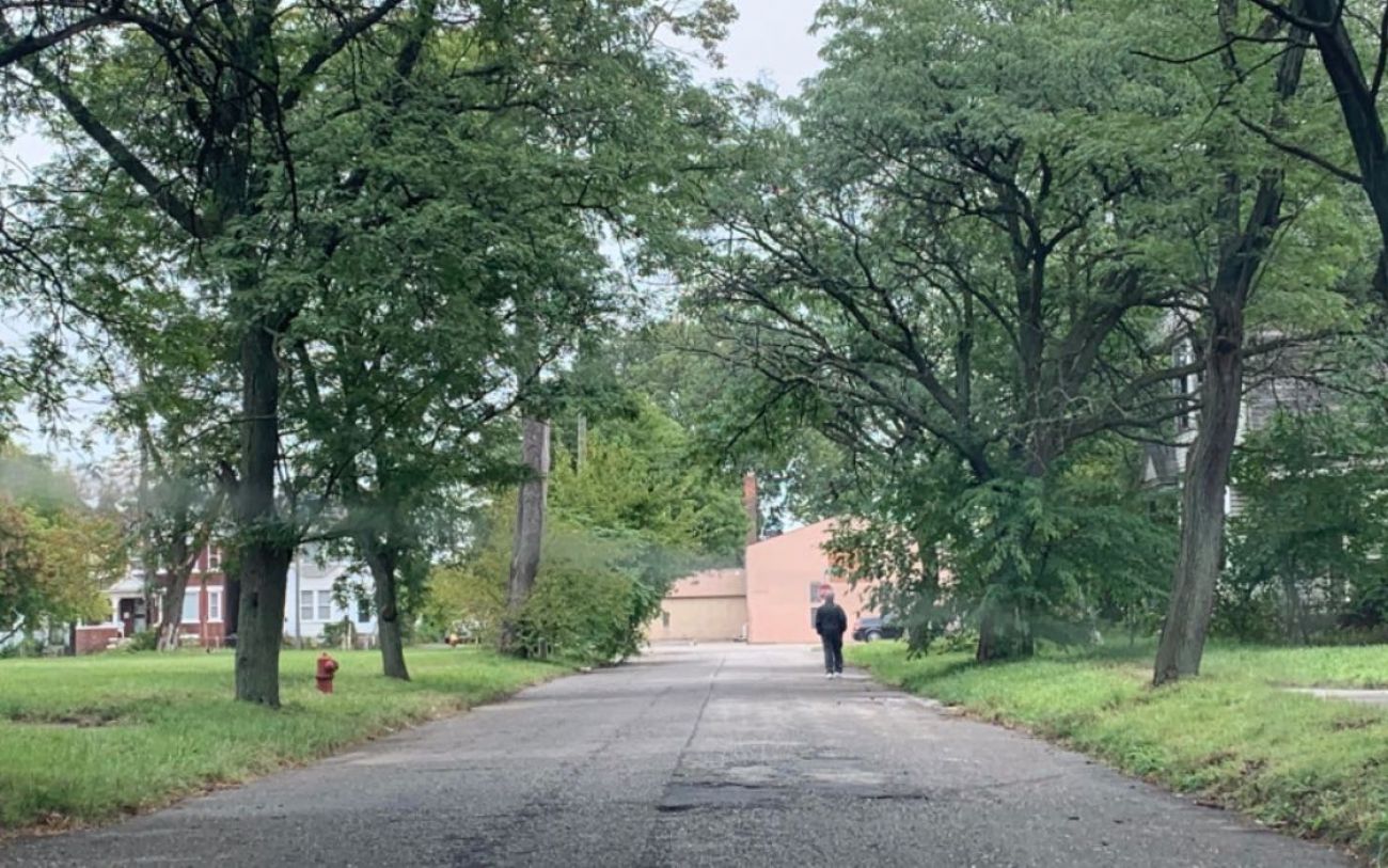 In A Changing Detroit Footpaths Are Vanishing Across Vast Empty Lands