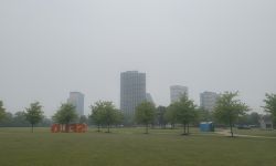 Downtown Southfield in a haze caused by the smoke from the Canadian wildfires