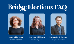 Bridge Elections FAQ graphic