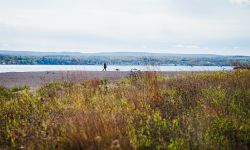 A woman walks her dog at Sand Point, a beach made of stamp sands on the Keweenaw Bay Indian Community reservation