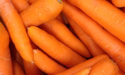 A pile of raw carrots