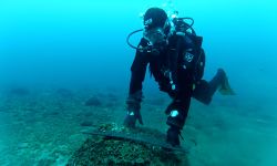 A diver in black equipment looks at a piece of wood