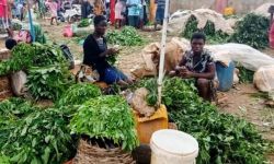 Women in Nigeria sorting piles of greens.