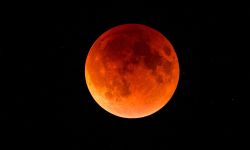 A blood moon 