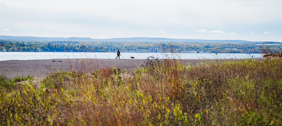 A woman walks her dog at Sand Point, a beach made of stamp sands on the Keweenaw Bay Indian Community reservation